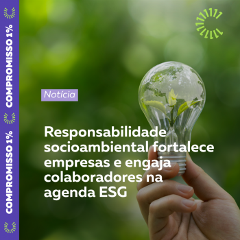 . Descrição completa da imagem: . Legenda da imagem: 